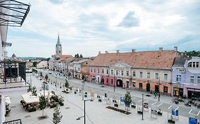 Central Nest
